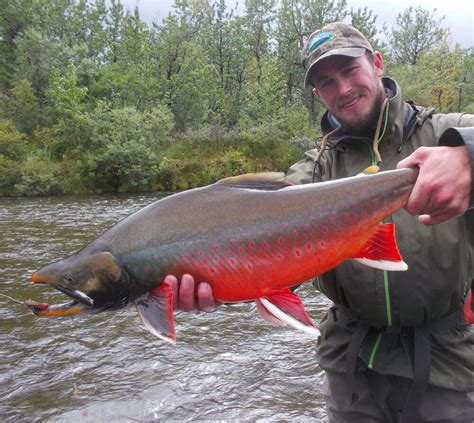 alaska fly in fishing|Kanektok River Alaska Fly Fishing Camps & Guides .